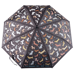 Floss & Rock Renk Değiştiren Şemsiye - Raining Cats & Dogs