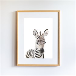 Little Forest Animals Tablo - Tacho the Zebra