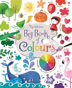 Usborne Big book of colours